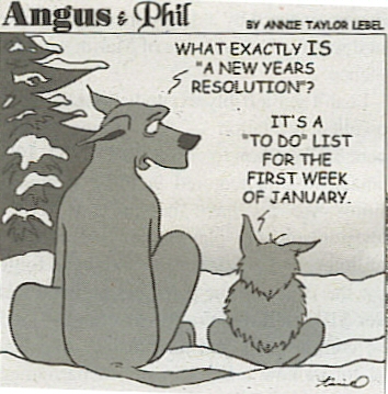 resolutions