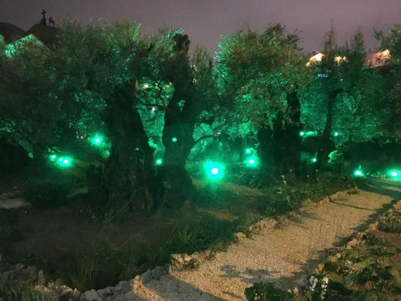 29683486_10155442071487544_4122477850929046321_n