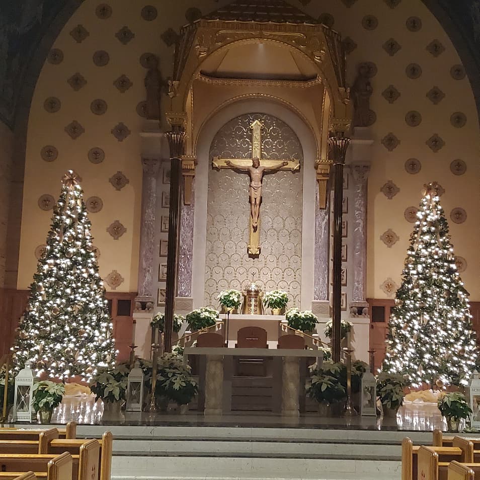 80258813_1421636631346333_3376098518065217536_n