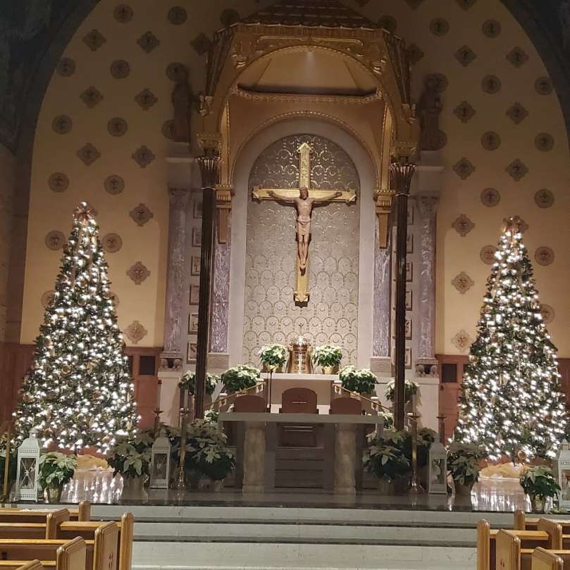 80258813_1421636631346333_3376098518065217536_n